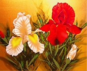 Ирисы Картина с алмазными стразами на холсте Color Kit CK022