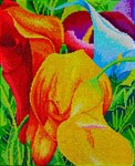 Разноцветные каллы Картина с алмазными стразами на холсте Color Kit CKC036