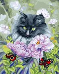 Любуясь бабочками Картина по номерам Color Kit CG467