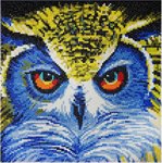 Взгляд совушки Картина с алмазными стразами на холсте Color Kit KDK001