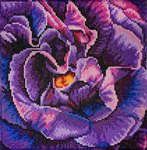 Аромат ночного лета Картина с алмазными стразами на холсте Color Kit KDK007