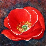 Яркий мак Картина с алмазными стразами на холсте Color Kit KM011