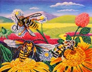 Медовый аромат Картина с алмазными стразами на холсте Color Kit KU013