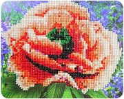 Алый мак Картина с алмазными стразами Color Kit RM002