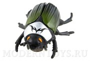 Legend of Nara Жук-скарабей