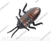 Legend of Nara мадагаскарский таракан