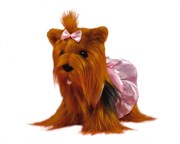 CHI CHI LOVE Плюшевая мягкая игрушка Собачка Йоркширский терьер