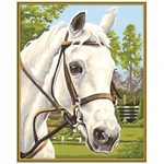 Картина раскраска по номерам Schipper Белая Лошадь 9240394