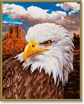 Картина раскраска по номерам Schipper Белоголовый орлан 9240665