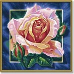 Картина раскраска по номерам Schipper Роза 9250409