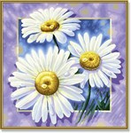 Картина раскраска по номерам Schipper Маргаритки 9250410