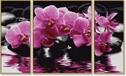 Картина раскраска по номерам Schipper Триптих Орхидеи 9260603