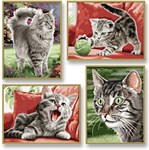 Картина раскраска по номерам Schipper Бархатные лапки 4 шт. 9340554