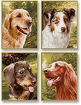 Картина раскраска по номерам Schipper Верный друг 4 шт. 9340594