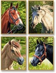 Картина раскраска по номерам Schipper Лошади 4 шт. 9340625