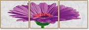 Картина раскраска по номерам Schipper Триптих Гербера фиолетовая 9400683