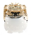 краб (crab) HEXBUG (жёлтый)
