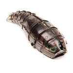 личинка larva HEXBUG чёрная