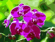 Картина с алмазными стразами на холсте Ветка орхидеи