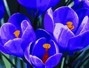 Картина с алмазными стразами на холсте Цветочное настроение