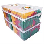 Фанкластик Большой набор конструктора Максикластика тип 2 2660 деталей FANCLASTIC