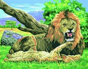 Картина раскраска по номерам Львы KSG