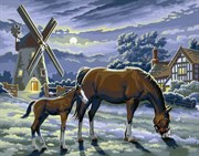 Картина раскраска по номерам У мельницы KSG