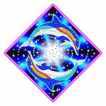 Раскраска с блестками и мозаикой из пайеток Дельфины Stardust Sequin Art KSG