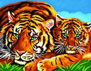Картина раскраска по номерам Тигры KSG