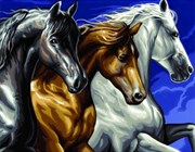 Картина раскраска по номерам Лошади KSG