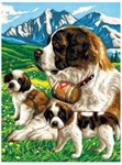 Картина раскраска по номерам Сенбернары KSG