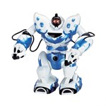 Радиоуправляемый многофункциональный робот