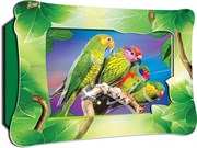 Объемная 3D картина Vizzle KIDS Ожереловые попугаи