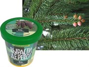 Набор для выращивания Вырасти Дерево! Ель Энгельмана