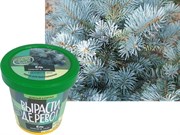 Набор для выращивания Вырасти Дерево! Ель Колючая