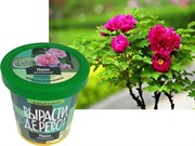 Набор для выращивания Вырасти Дерево! Пион древовидный