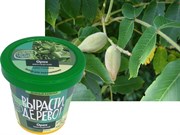 Набор для выращивания Вырасти Дерево! Орех маньчжурский