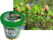 Набор для выращивания Вырасти Дерево! Лиственница японская