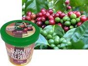 Набор для выращивания Вырасти Дерево! Кофе арабский карликовый