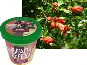 Набор для выращивания Вырасти Дерево! Гранат обыкновенный