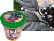 Набор для выращивания Вырасти Дерево! Перец декоративный