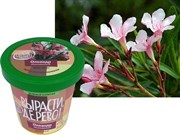 Набор для выращивания Вырасти Дерево! Олеандр Обыкновенный