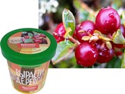 Набор для выращивания Вырасти Дерево! Брусника обыкновенная