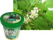 Набор для выращивания Вырасти Дерево! Актинидия острая