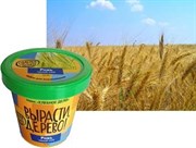 Набор для выращивания Вырасти Дерево! Рожь