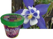 Набор для выращивания Вырасти Дерево! Аквилегия