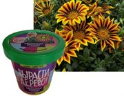 Набор для выращивания Вырасти Дерево! Африканская ромашка