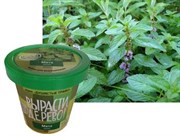 Набор для выращивания Вырасти Дерево! Мята дикая