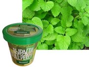 Набор для выращивания Вырасти Дерево! Мелисса