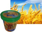 Набор для выращивания Вырасти Дерево! Пшеница